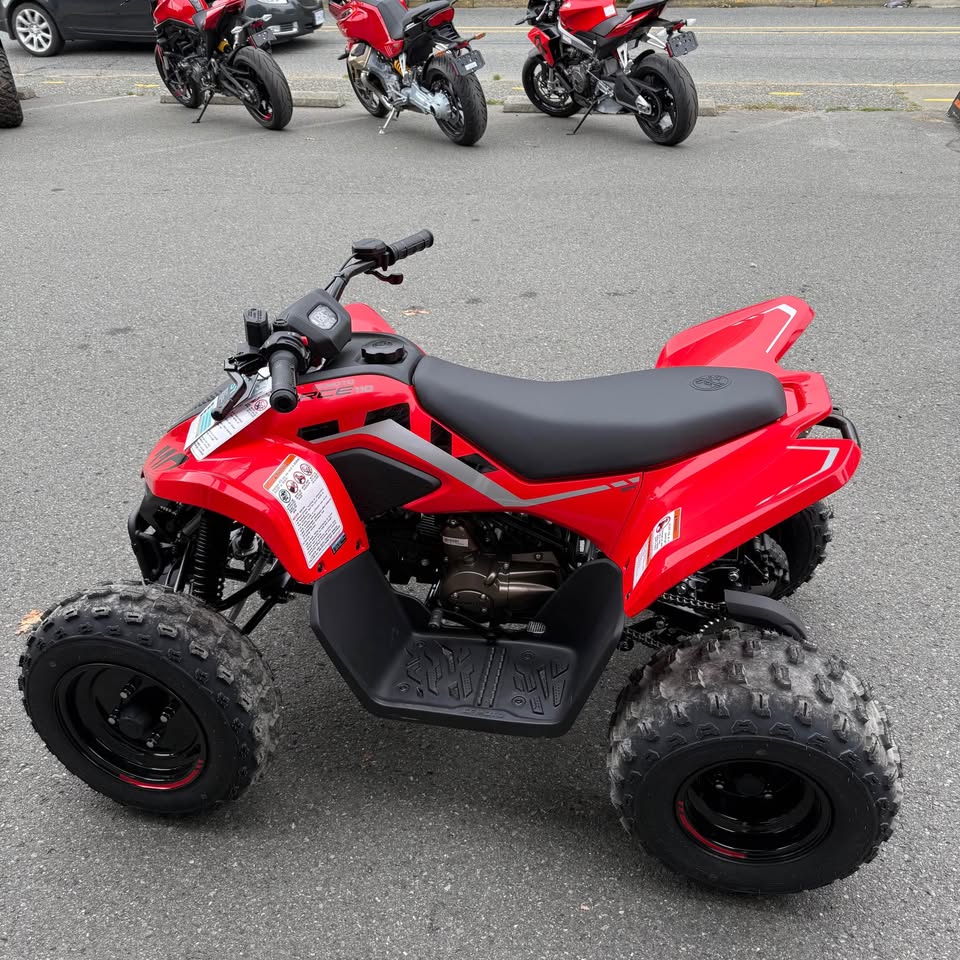 2026 CFORCE 110 CLASSIC - SOLD